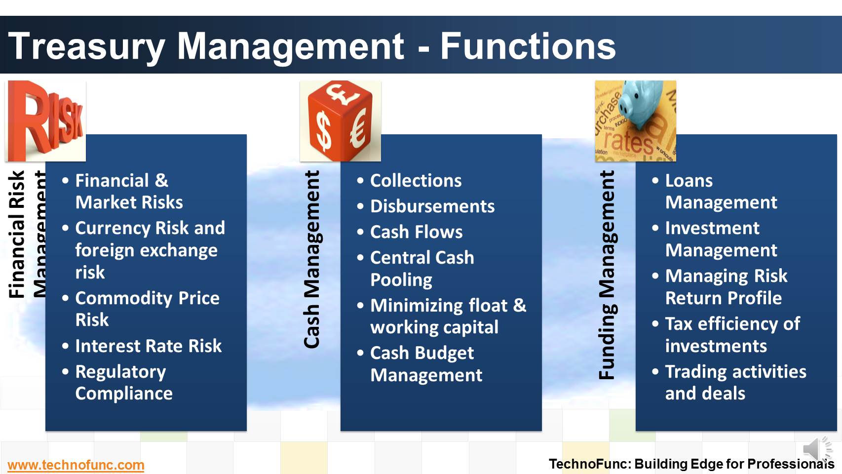 Treasury Management - Functions