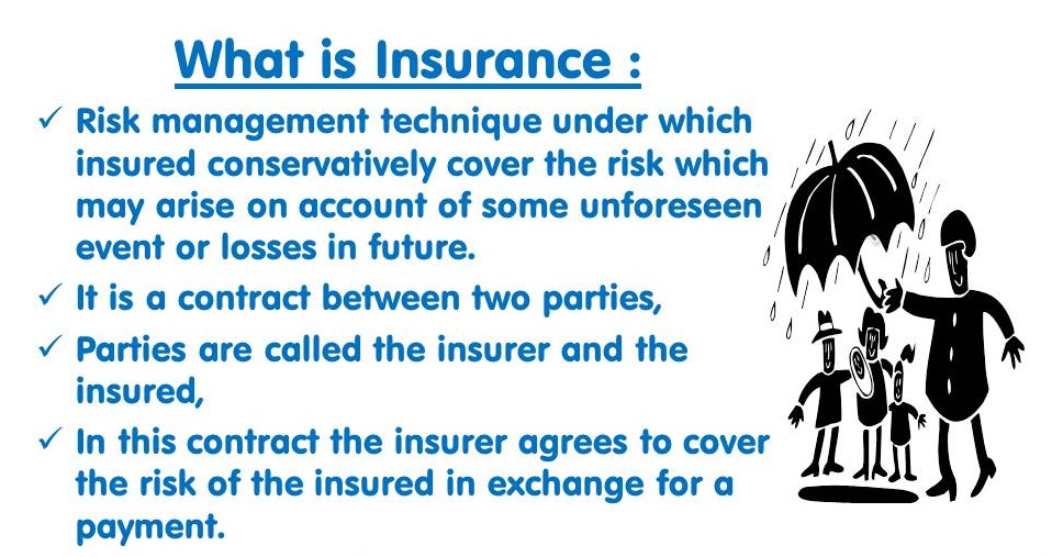 Overview of the insurance sector