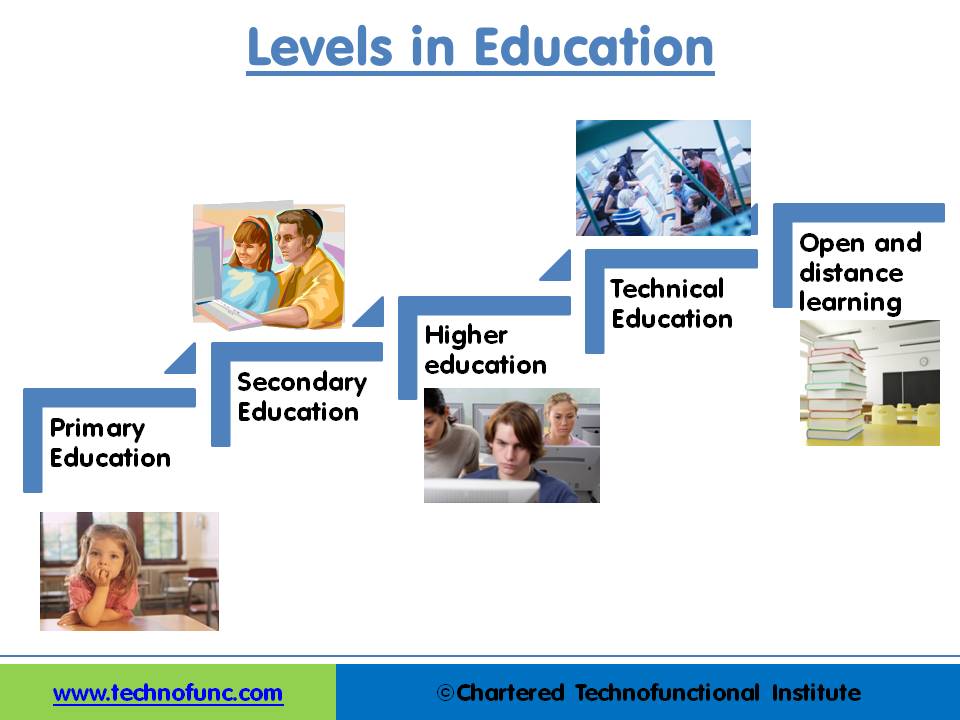 Levels in Education Industry