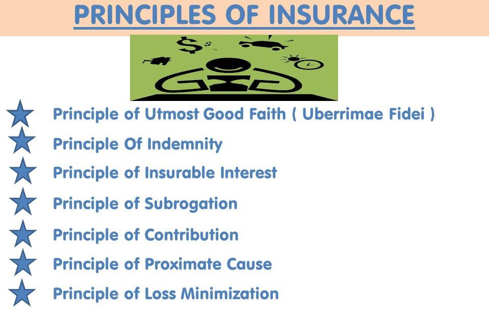 Principles of Insurance