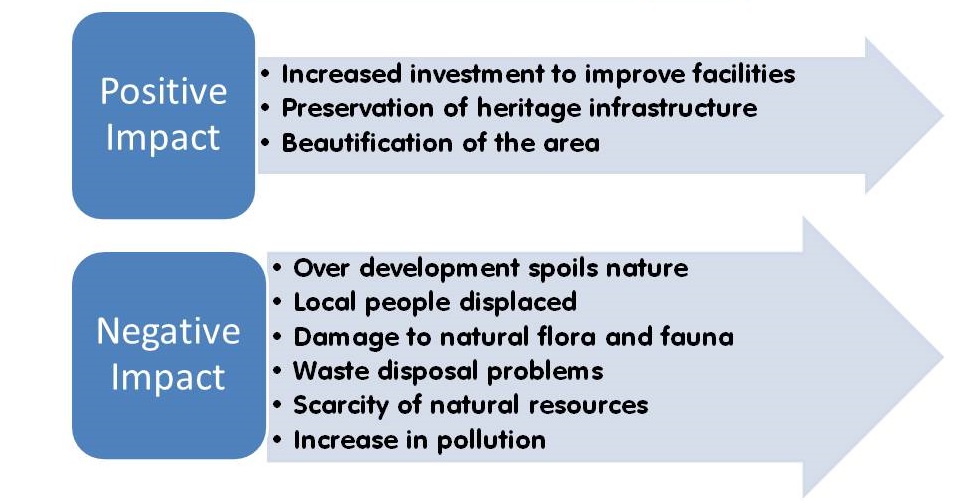 Environmental impact of the tourism industry