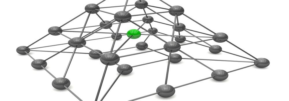  Network Organizational Structures
