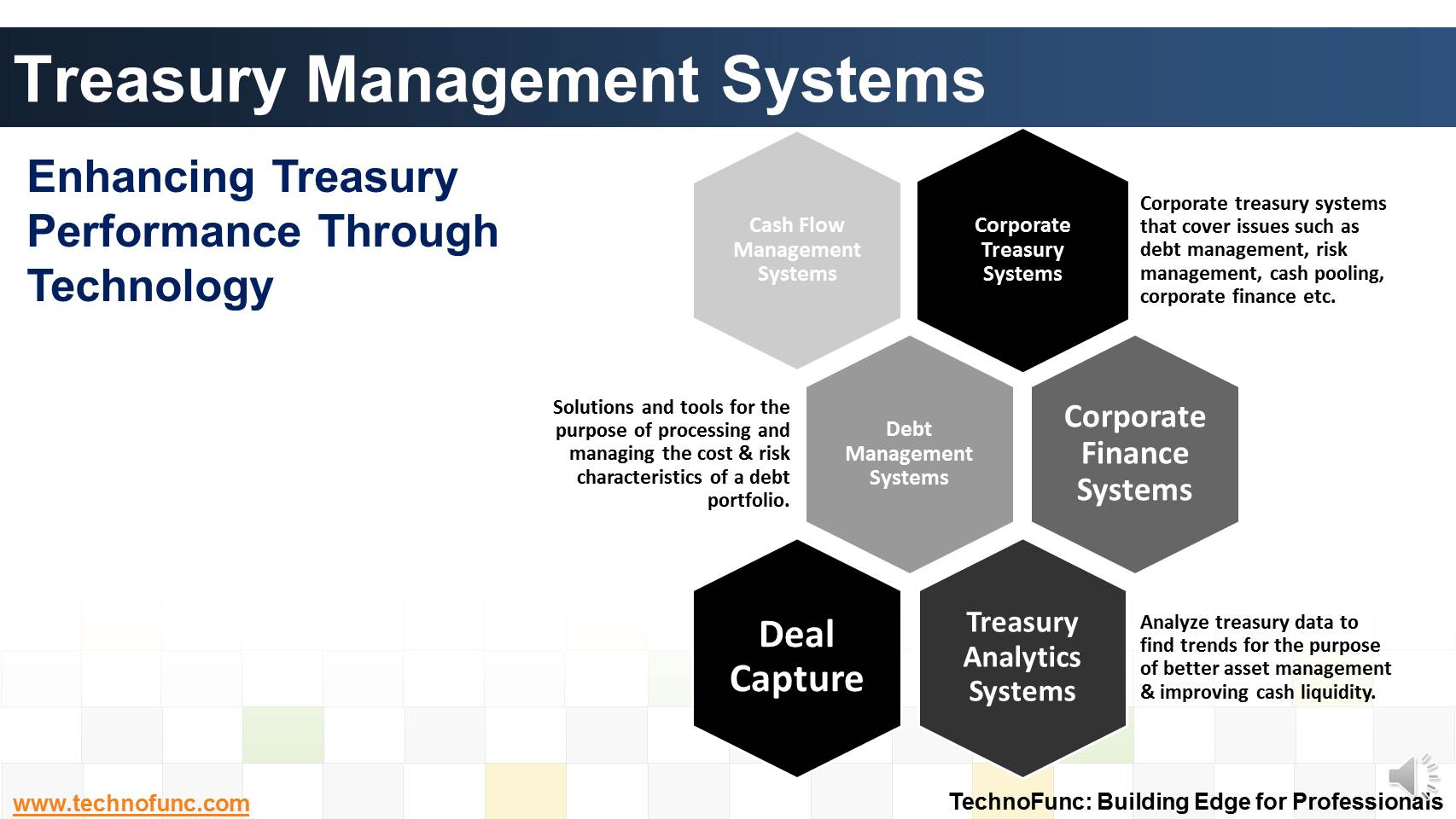 Treasury Management Systems