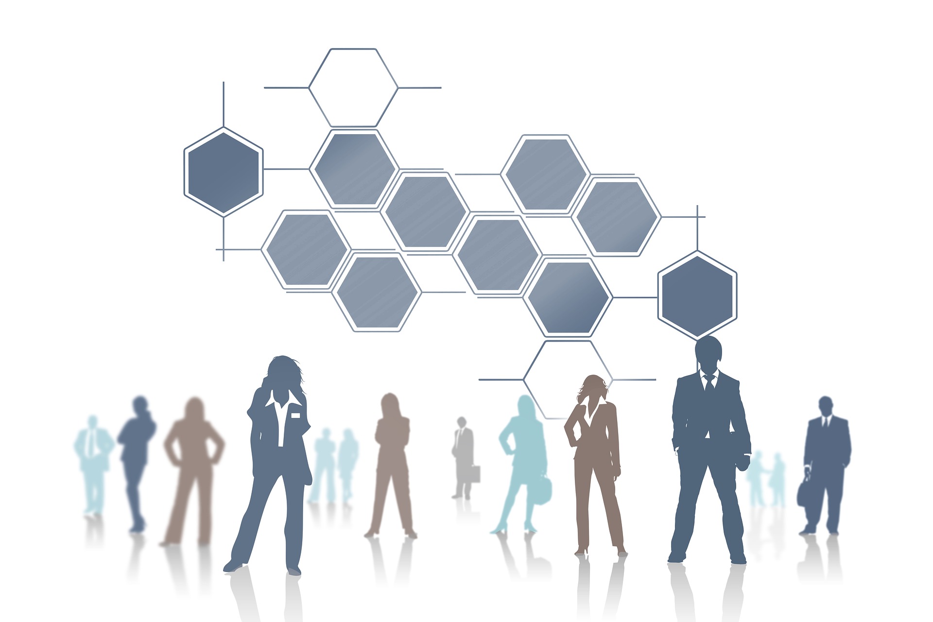 Functional Organizational Structures