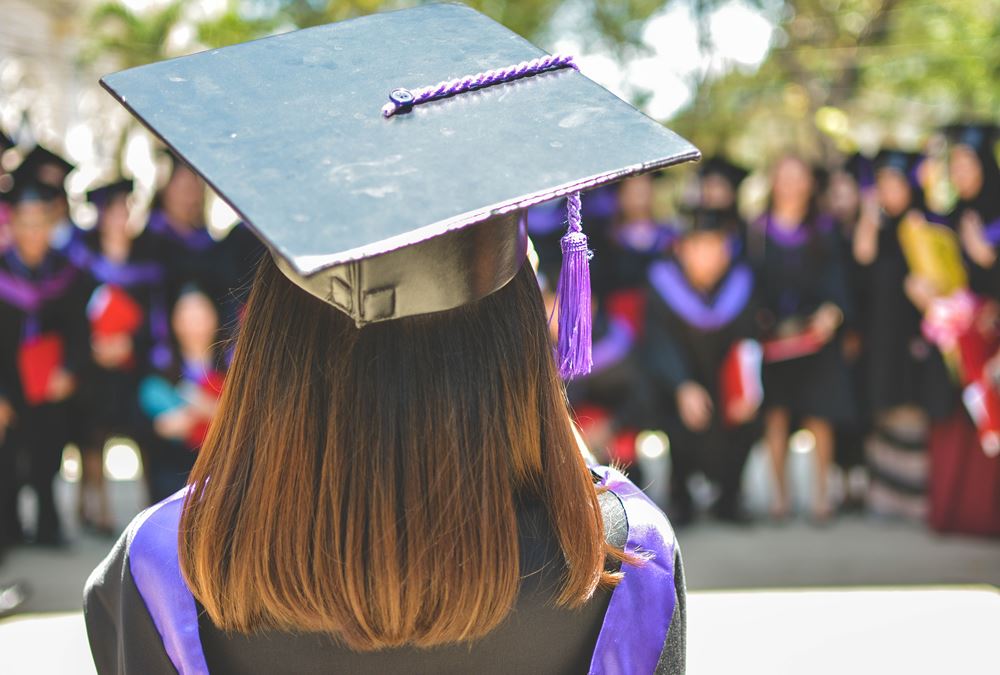 Levels in Education Industry