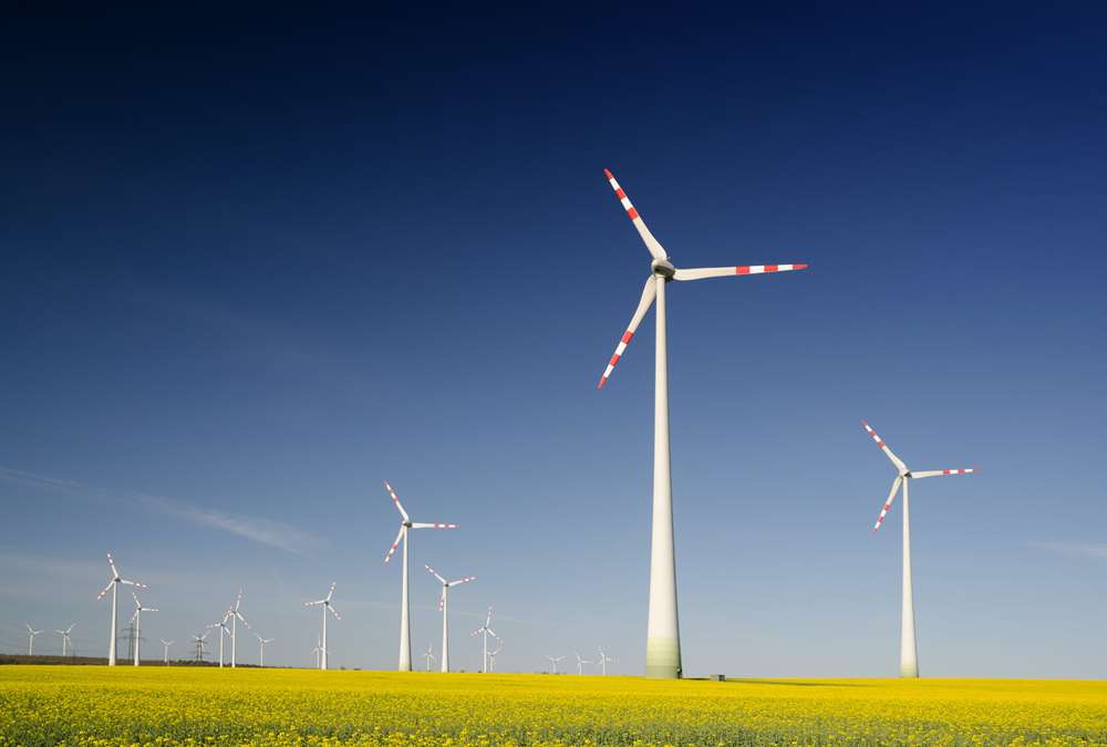 The renewable energy industry
