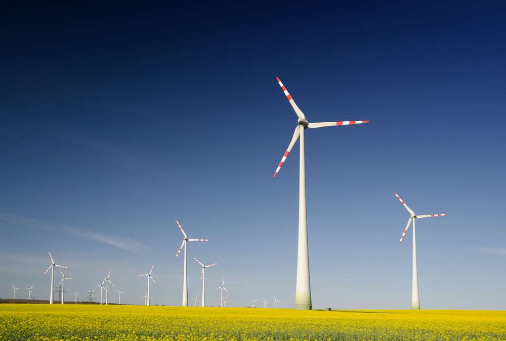 The Renewable Energy Industry