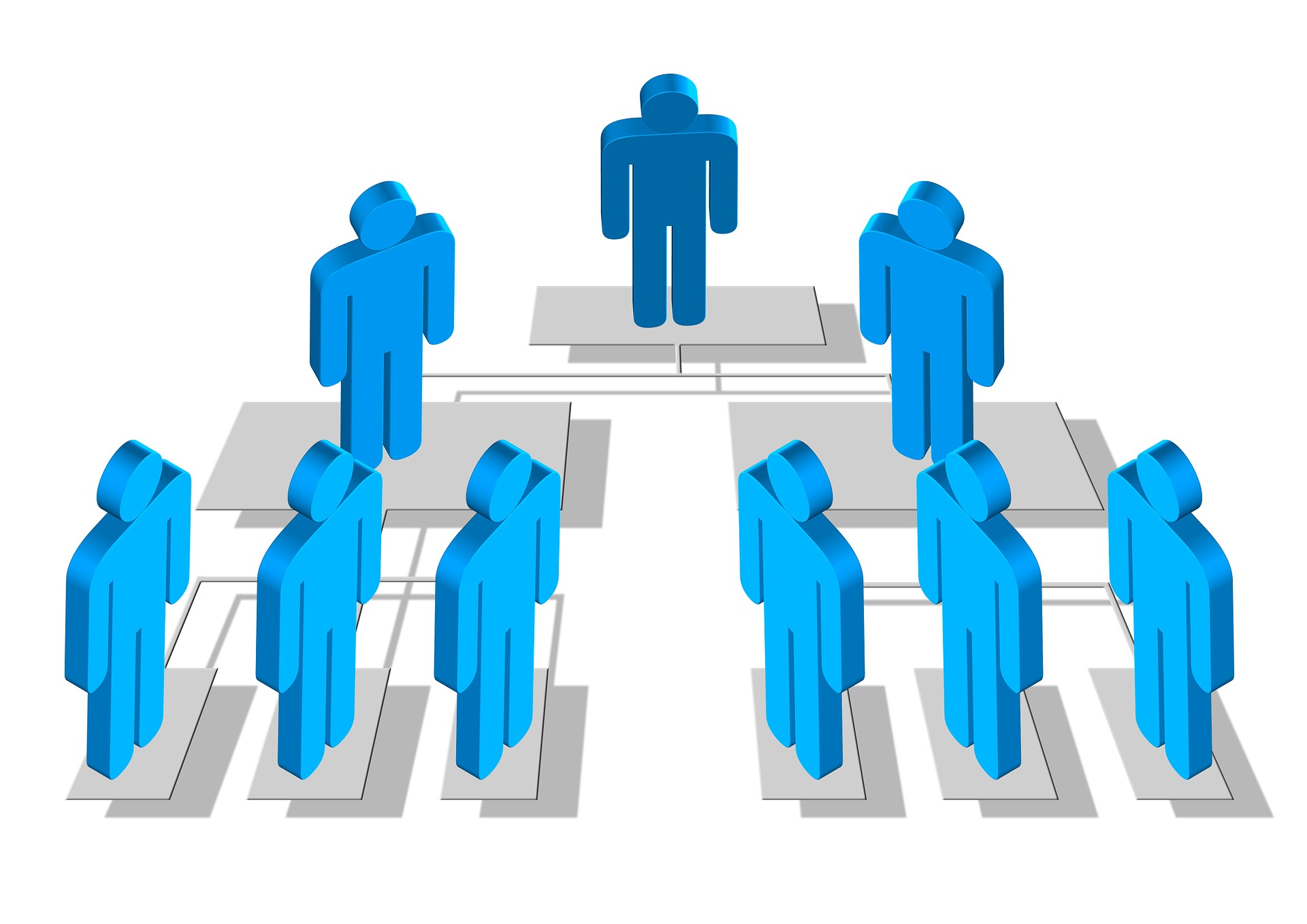 Different Types of Organizational Structures