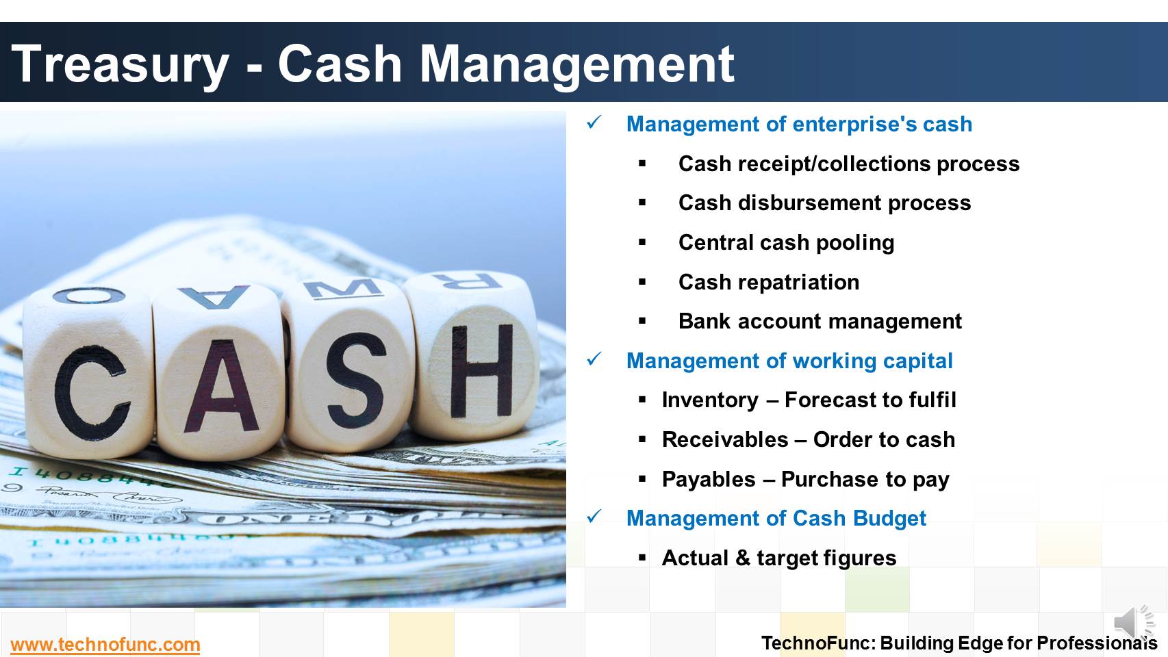 TechnoFunc - Treasury - Cash Management